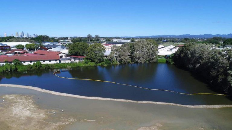 Gold Coast Turf Club – Black Swan Lake Rehabilitation